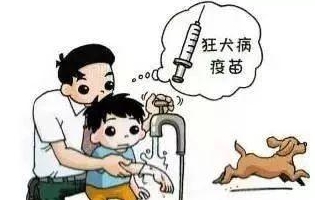 最新狂犬病發(fā)作視頻，理解與應(yīng)對(duì)的挑戰(zhàn)