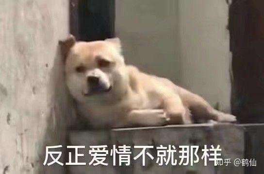 微信最新表情包含義，探索表情背后的故事與情感表達(dá)