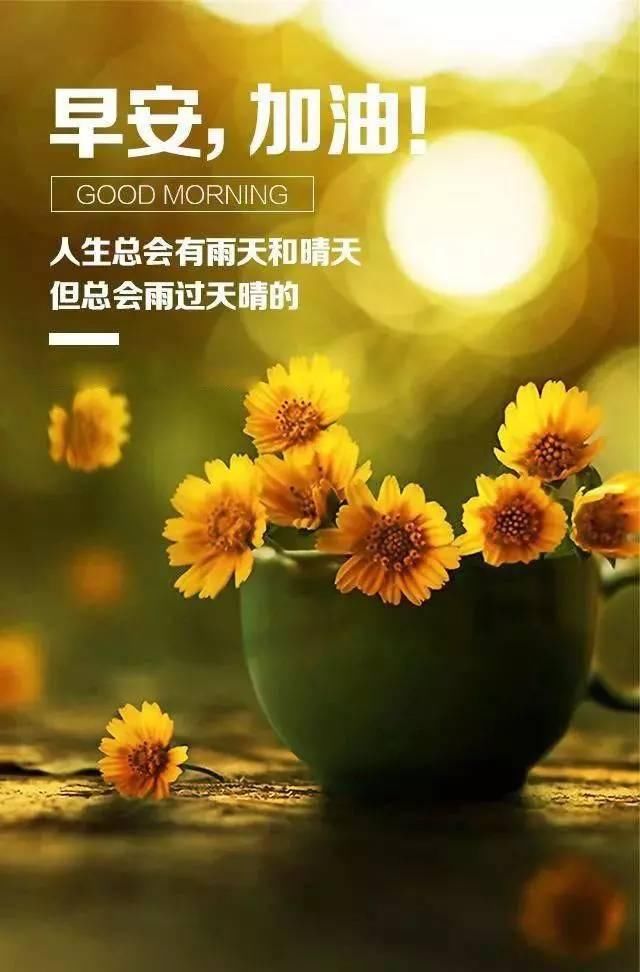 最新早安勵(lì)志語錄帶圖，開啟充滿活力的每一天